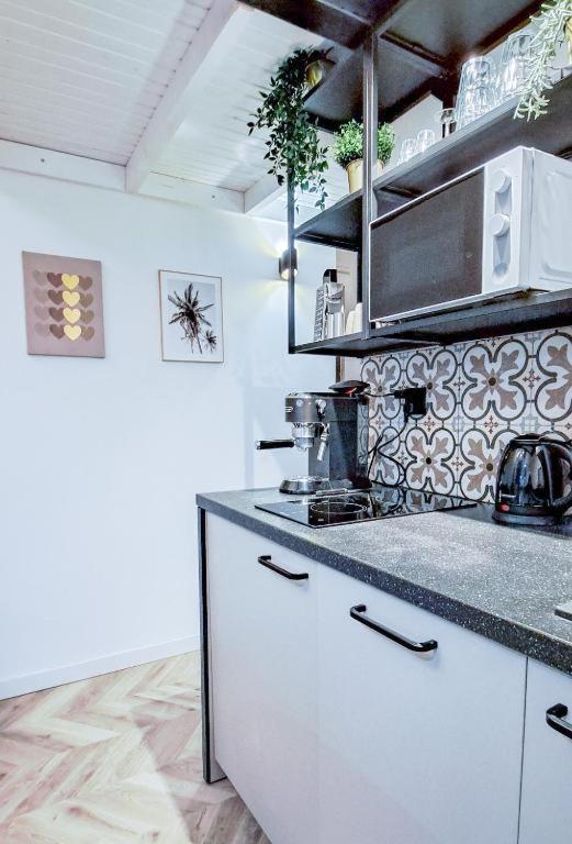Lion Apartments - Premium Studio With Balcony Krakow Ngoại thất bức ảnh