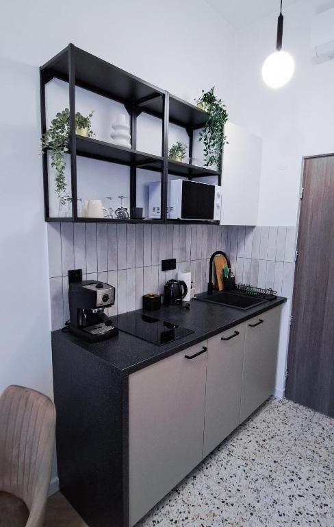 Lion Apartments - Premium Studio With Balcony Krakow Ngoại thất bức ảnh