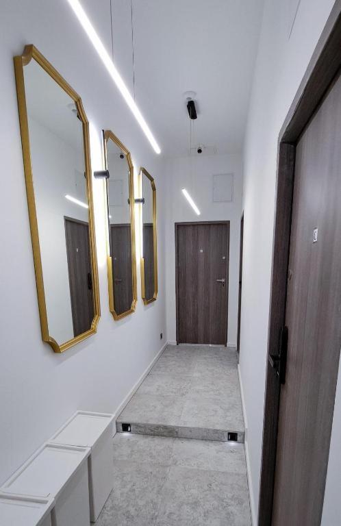 Lion Apartments - Premium Studio With Balcony Krakow Ngoại thất bức ảnh